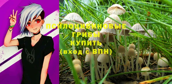 таблы Дмитриев
