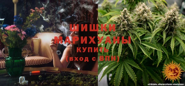 ECSTASY Дмитров
