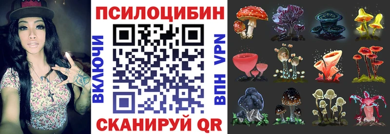 Купить  Оренбург  Галлюциногенные грибы мицелий 